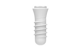 Ceramic Implant